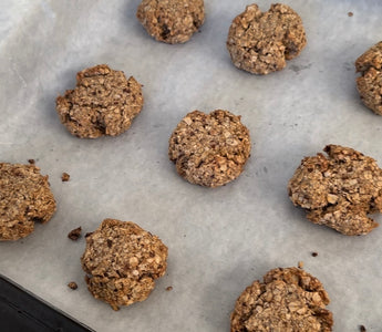 Catchy Lactation Cookies